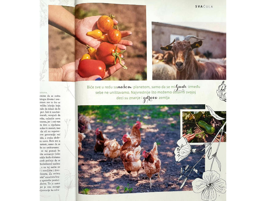 Interview in Sensa Magazine June 2019