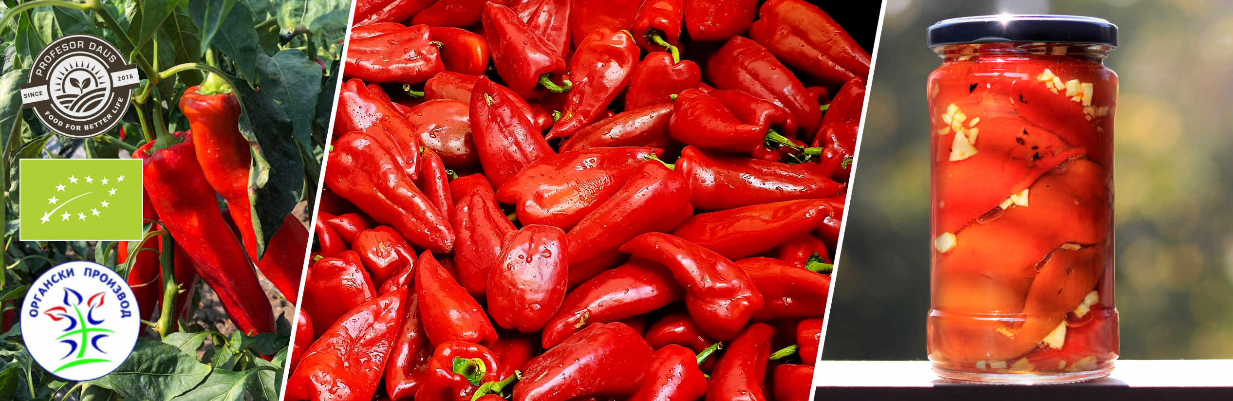Pepper