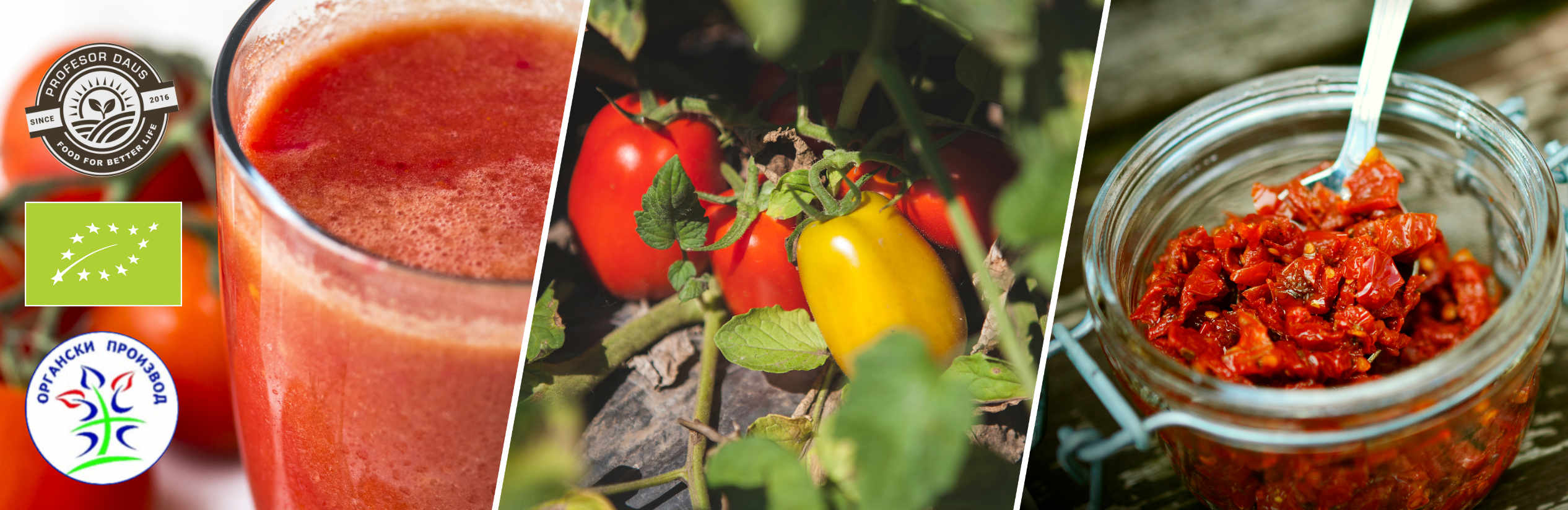 Tomato